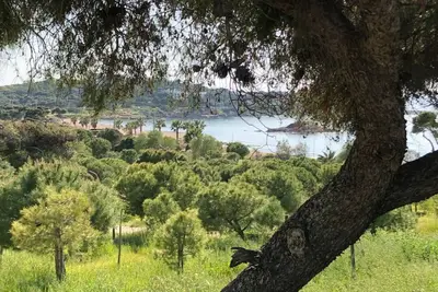 Image de Your Kavouri Retreat: A brief walk through pines leads to the sea