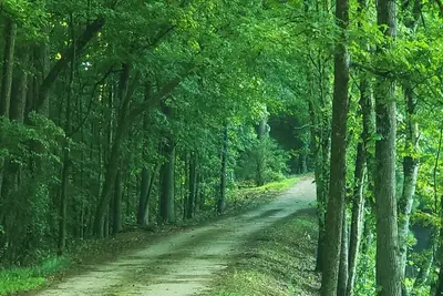 Image de Home is set on10 acres w/pond, pool, spa, & only 9 miles to Masters golf course.