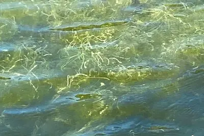 Image de Basement Area