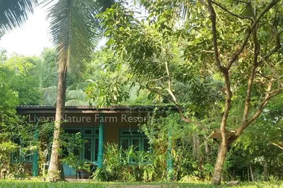 Image de Villa with nature-themed Ac rooms in middle of a coconut estate in Sri Lanka.