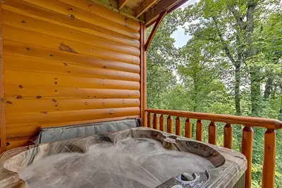 Image de 1 Bedroom Cabin w/ Hot Tub & Resort Perks