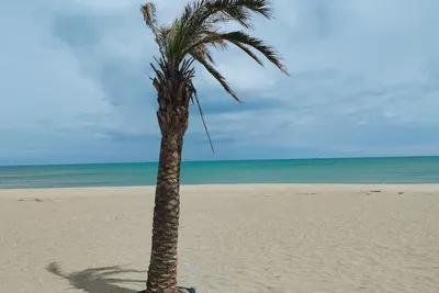Image de Les Pieds Dans L'eau