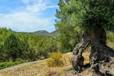 Image de Villa Can Rafalet in Ibiza