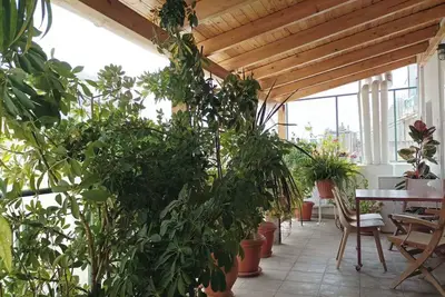 Image de Sunny penthouse studio in Acropolis