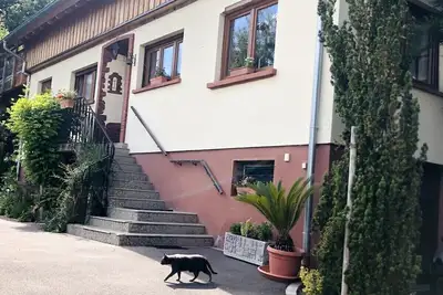 Image de Joli Gite Spacieux entouré de verdure