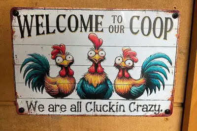 Image de Roscoe Coop Clucking Crazy Hut