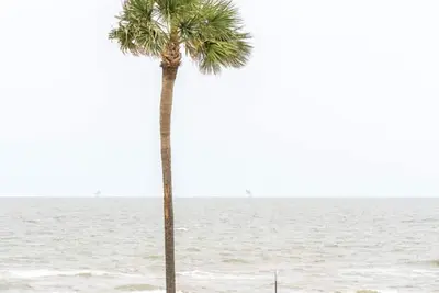 Image de Get Sea Inspired-Beach Views/Full Kitchen