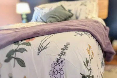 Image de Relaxing Rustic Oasis Ii -  6 min walk to Downtown! Cyclist Welcomed!