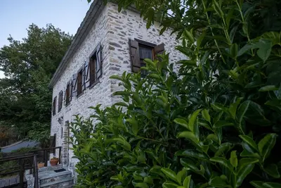 Image de Triple Studio Aloe Pelion