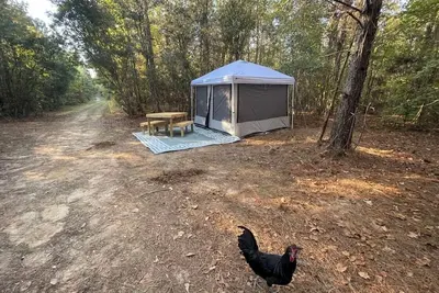 Image de Farmstay- Buckbeak1 Tent/ScreenRoom