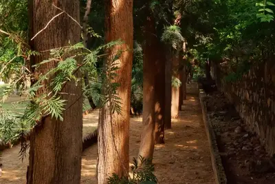 Image de The Raghav - Villa/Farmhouse Getaway amidst Nature
