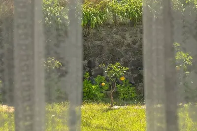 Image de Jeju Pyeongdae 41street Pension