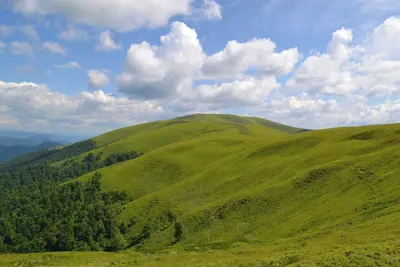 Image de Legendary Luxury In Downtown Seattle