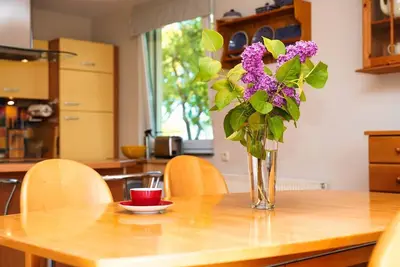 Image de Fischerstrasse - Moderne 3-zimmer Ferienwohnung \"to'n Appelboom\" mit Meerblick zum Achterwasser