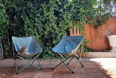Image de Patio Tipique Andalous, à 10 mnt de L'alhambra, Animaux de Compagnie Acceptés
