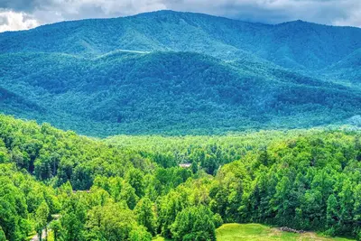 Image de Grants Cottage, Pickleball Court, Creek, Wifi, Mountain Views, Starting at $79\"