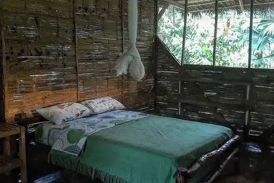 Image de Discover serenity in the Ecuadorian Amazon.