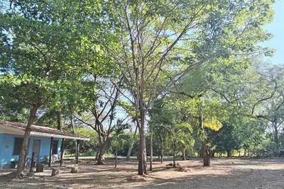 Image de Experience Costa Rica deeply! Small-houses on a beachfront property beach access
