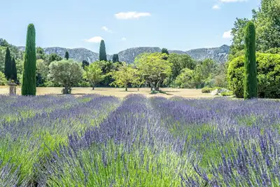 Image de Dream In Provence\n\nMas D'exception au Pied des Alpilles