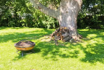 Image de Owl's Nest - A Rochester Escape! Rit & UoR Nearby!