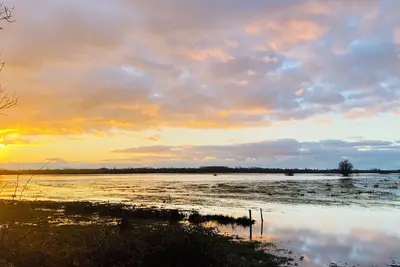 Image de Gîte 5 Personnes au Bord du Marais. A 15min des Plages. Animaux Acceptés