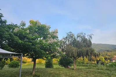 Image de F1 proche plage et Porticcio