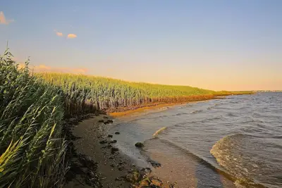 Image de Bothell room in reach of downtown Seattle! !