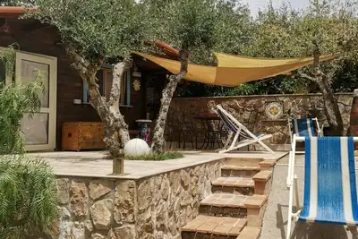 Magnificent cottage surrounded by olive trees and aromatic plants.