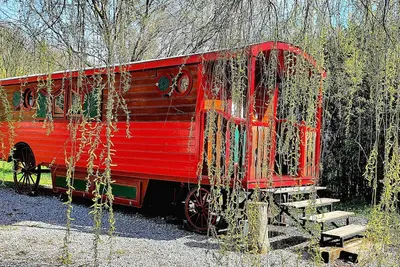 Image de Homerez - Bungalow Sédeilhac jardin