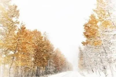 Image de 1 Bedroom Aspen Core Condo