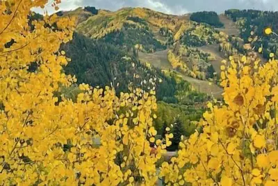 Image de Stylish Core Condo In Aspen, Fireplace-Near Slopes