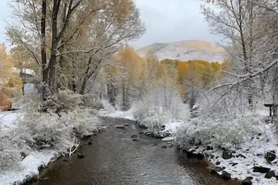 Image de 4 Bedroom 4 Bath Home-W. Francis St. Aspen!