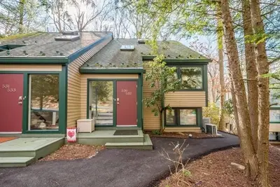 Image de Quiet Woodland Serenity Escape