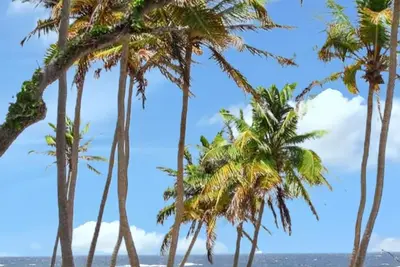 Image de Homerez - Maison à Sainte-Anne.