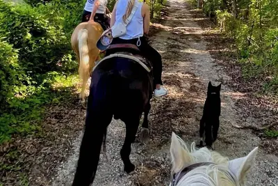 Image de Amazing Views, Unique Tee Pee Camping. Trail Rides on site. Pet Friendly!