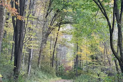 Image de Peaceful and Spacious mountain retreat. Full of amenities. Off grid yet close.