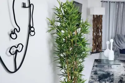 Image de Tropical Luxe: Modern Townhouse with pool near beach.