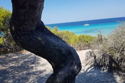 Image de Une vie ensoleillée