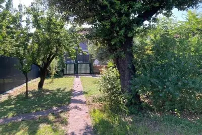 Image de Alberto's green house