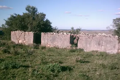 Image de Cabaña del Campo Meditación Osho Uruguay
