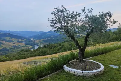 Image de Lavender Loft - The Window on the World