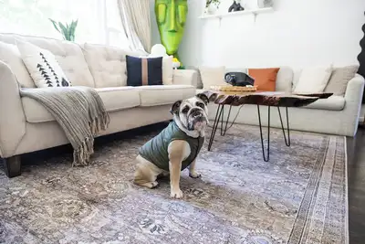 Image de Haus Of Hues: Mdrn Bright Peaceful Private Apt