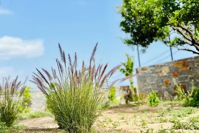 Gioma Garden Villas