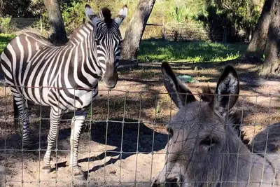 Image de Private Farm With Beach