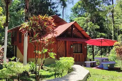 Image de Hospedaje en Bosque Tropical Reforestado, Lleno de Naturaleza, paz y RelajaciĂłn