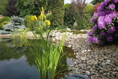 Image de Vacation apartment Burwieck