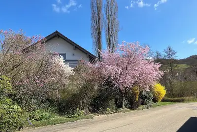 Image de Anna's Beautiful Country-house