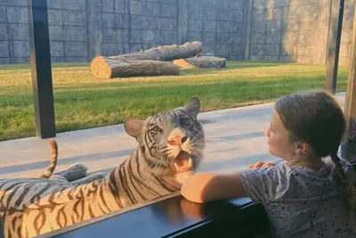 Image de Big Cat Bungalows at The Haven - Tiger 3