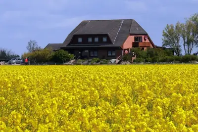 Image de Appartement 'Ferienwohnung Koopmann' avec jardin partagé, balcon et Wi-Fi