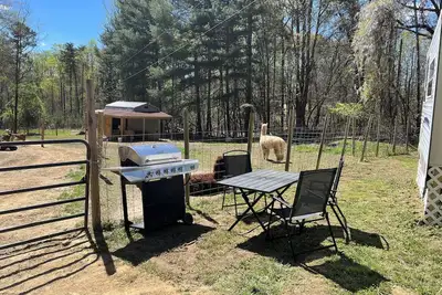 Image de L & R Ranch Rv Camping, on the farm